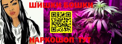 стафф Будённовск