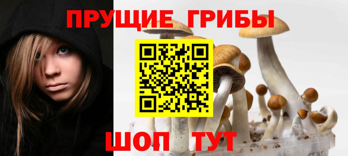 даркнет сайт  Псилоцибиновые грибы Cubensis  Урус-Мартан  Вход с VPN  Галлюциногенные грибы ЛСД 